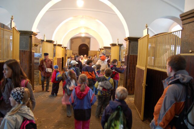 kladruby_4