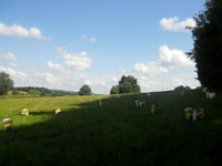Hra_letni_tabor_Kazimirka_18