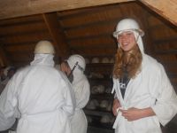 Kutna_hora (15)