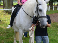 Vylet_Kladruby_Kazimirka_15