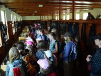 Vylet_Kladruby_Kazimirka_28