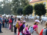 Vylet_Kladruby_Kazimirka_37