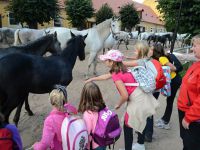 Vylet_Kladruby_Kazimirka_39