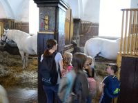 Vylet_Kladruby_Kazimirka_44