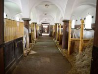 Vylet_Kladruby_Kazimirka_46