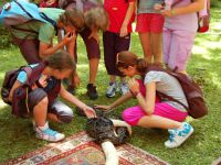 Letni_tabor_2012_1.turnus_50