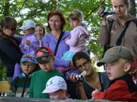 Minitabor_2013 (26)
