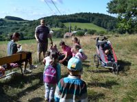 Minitabor_2013 (27)