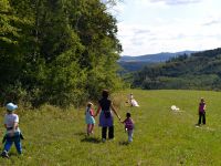 Minitabor_2013 (31)