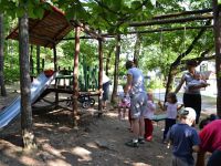 Minitabor_2013 (44)