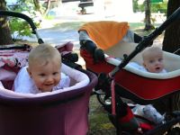 Minitabor_2013 (57)