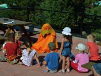 Minitabor_2013 (78)