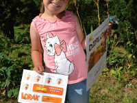 Minitabor_2013 (90)