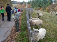 Podzimni_tabor_2013_04