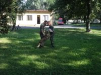Primestsky_Letnany_I_03