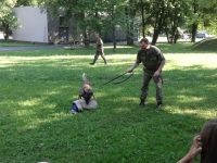 Primestsky_Letnany_I_04