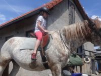 Primestsky_Letnany_IV.A_45