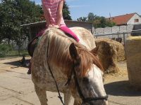 Primestsky_Letnany_IV.A_46