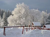 Zimni_tabor_pro_rodice_a_deti_2015_05