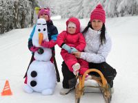 Zimni_tabor_pro_rodice_a_deti_2015_55