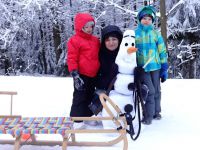 Zimni_tabor_pro_rodice_a_deti_2015_61