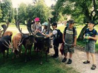 Letni_tabor_2016_2_156