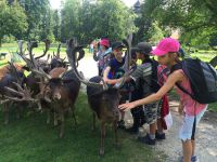 Letni_tabor_2016_2_157