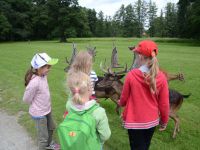 Letni_tabor_2016_3_149