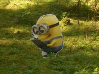 dscn3582