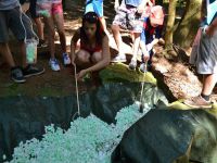 Letni_tabor_2015_1 (50)