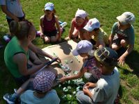 Letni_tabor_2015_1 (53)