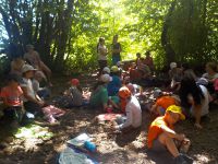 Letni_tabor_2015_1 (84)