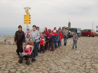 Jested (16)