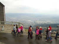 Jested (17)