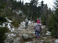 Jested (21)