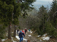 Jested (23)