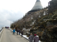 Jested (24)