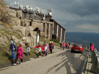 Jested (26)