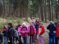 Jested (27)