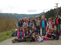 Jested (28)