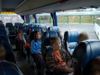 Jested (31)