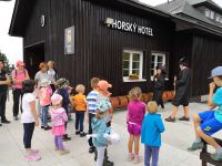 rhdr