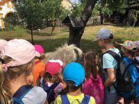 Letni_primestsky_6_turnus_2019_80