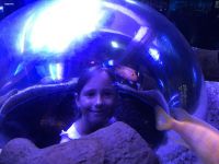 PT_7.turnus_2020_34