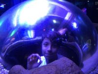 PT_7.turnus_2020_42