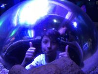 PT_7.turnus_2020_43