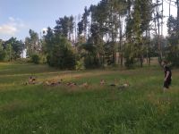 Letni-tabor_2.turnus_2021_140