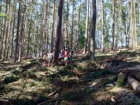 Letni_tabor_3.turnus_2020_330