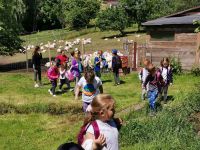 Muj-prvni-tabor_1.turnus_2021_238