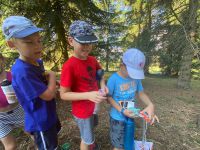 IMG-20220817-WA0176